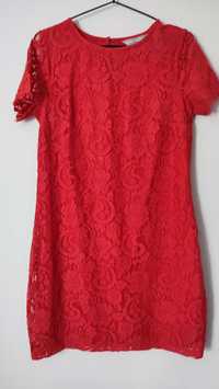 Koronkowa sukienka mini czerwona Dorothy Perkins krótki rękaw