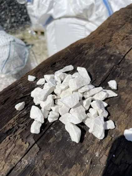 Grys Biała Marianna I Gatunek Akwarium Ogród Opaska Podjazd