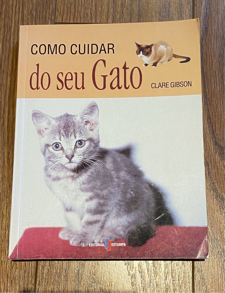 Como cuidar do seu gato