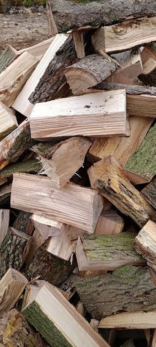 Дрова твердих порід