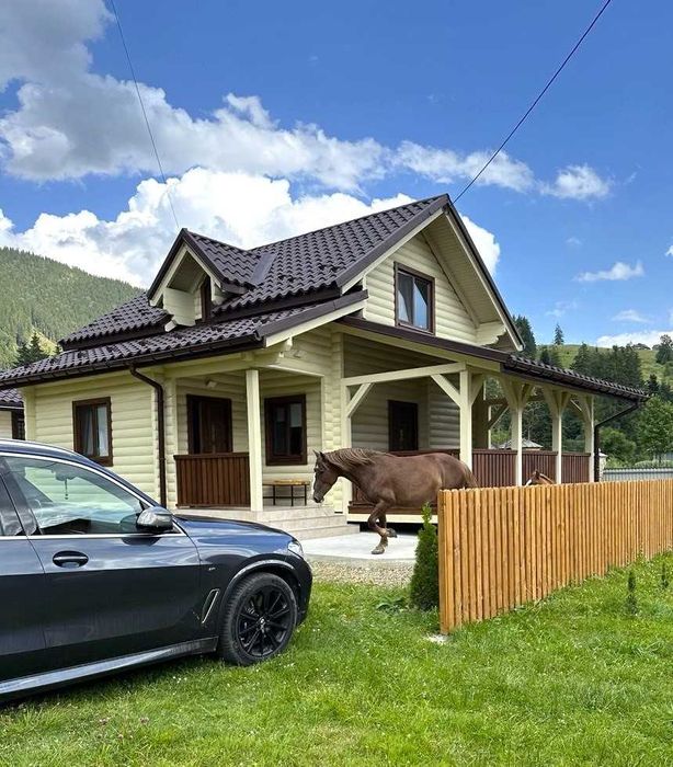 Затишний будинок у Карпатах: с. Волова, чан, мальовнича природа