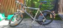 Rower Giant rama L