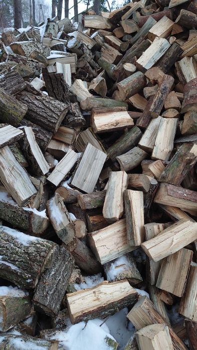 Drewno drzewo iglaste, liściaste mieszane opałowe opał suche