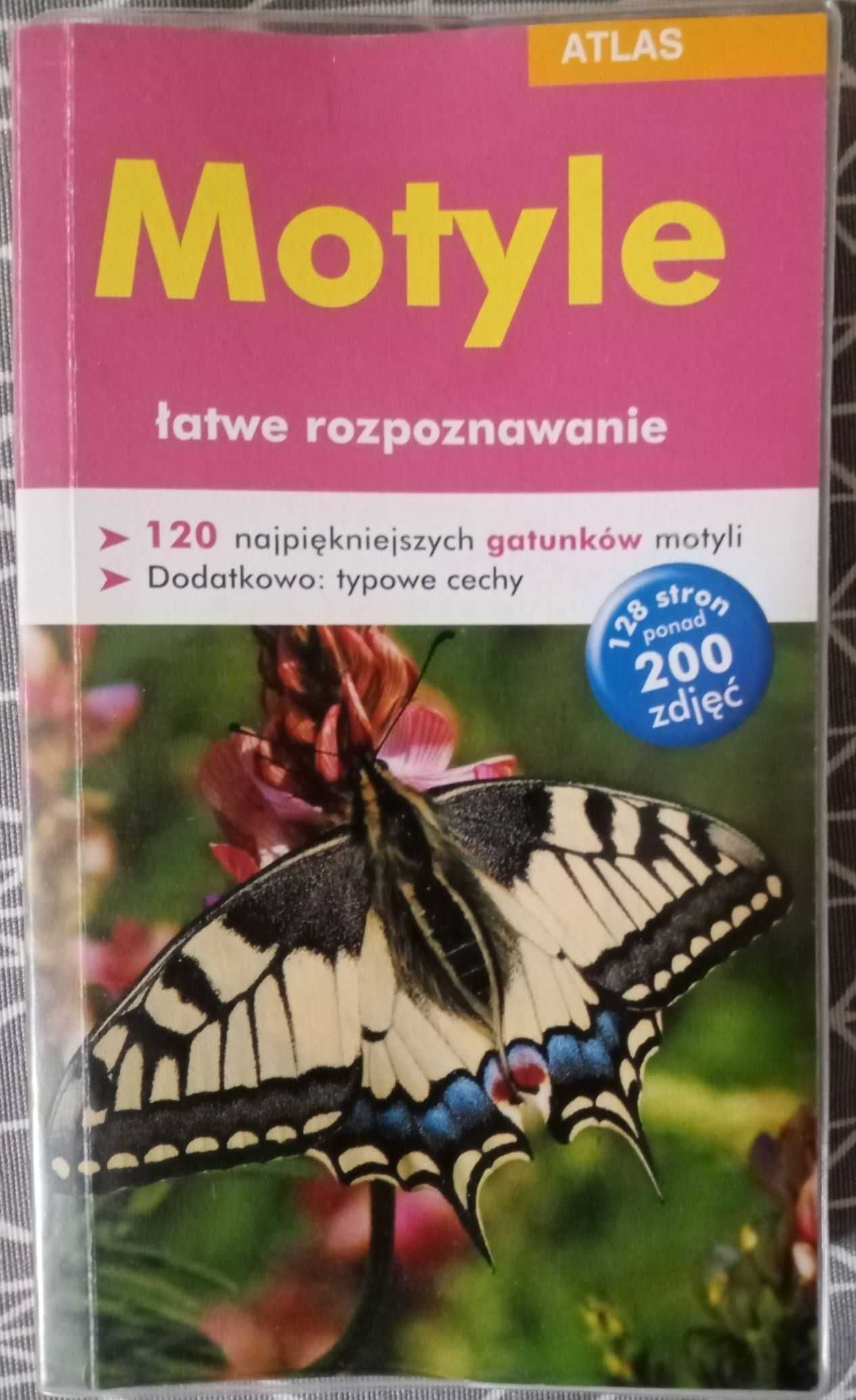 Motyle - łatwe rozpoznawanie. Atlas