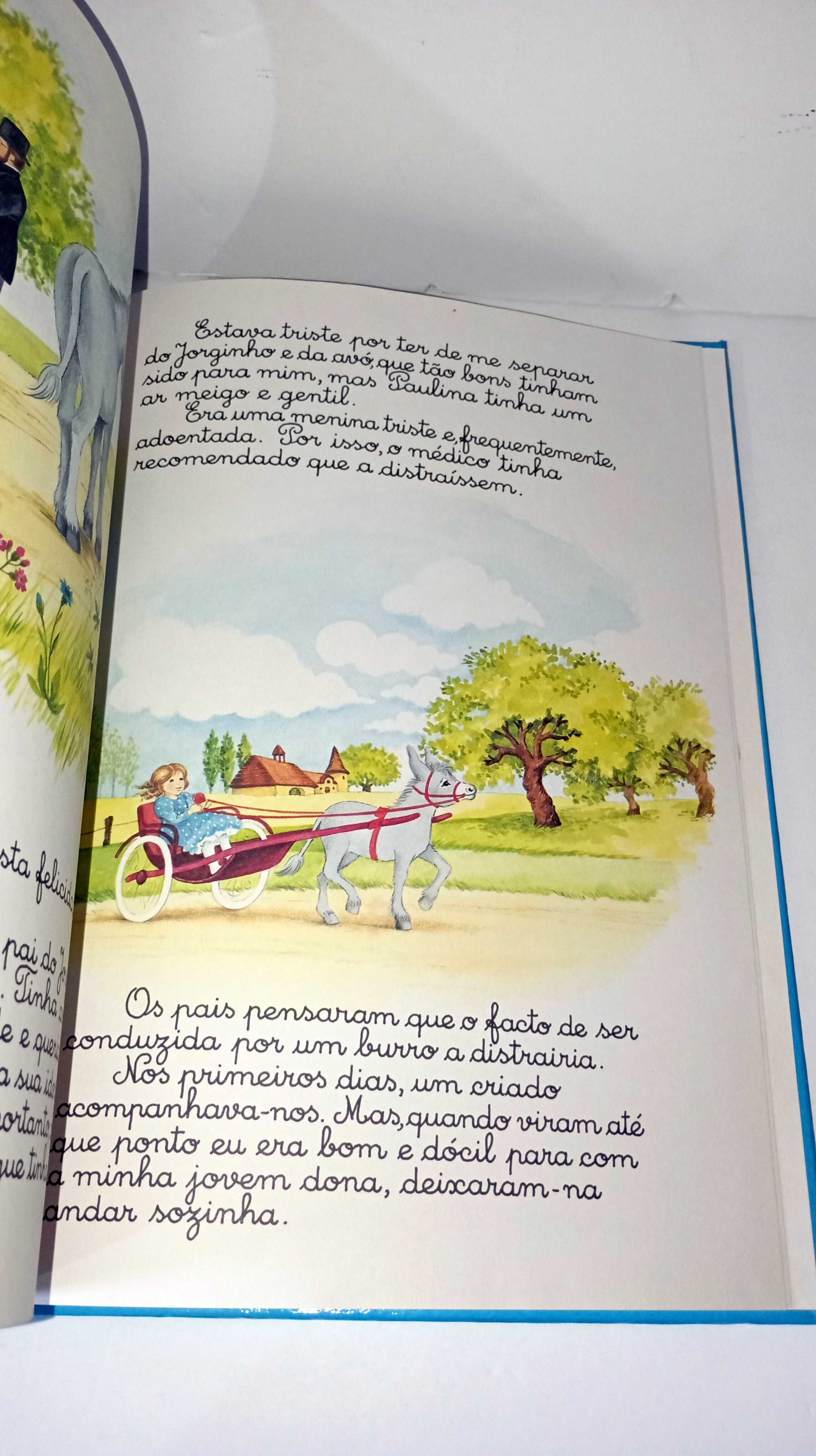 AS Memórias de Um Burro
