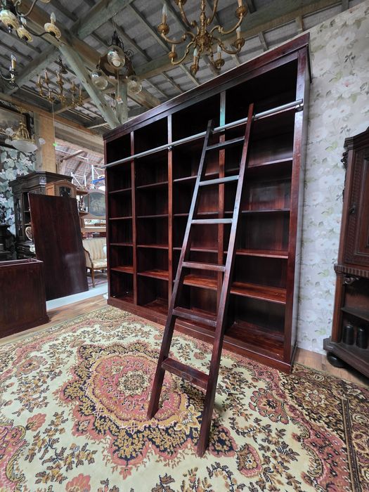 Biuro : biblioteka z drabiną I biurko #1737 Stylowy Węgrów