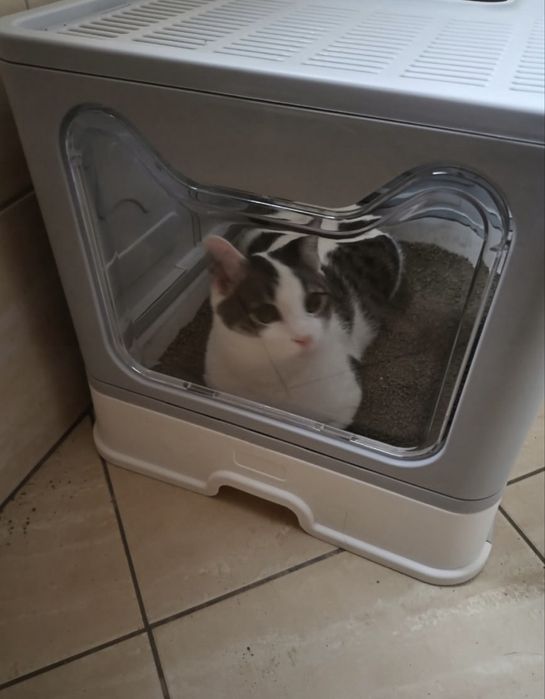 Duża kuweta kryta z szufladą + łopatka