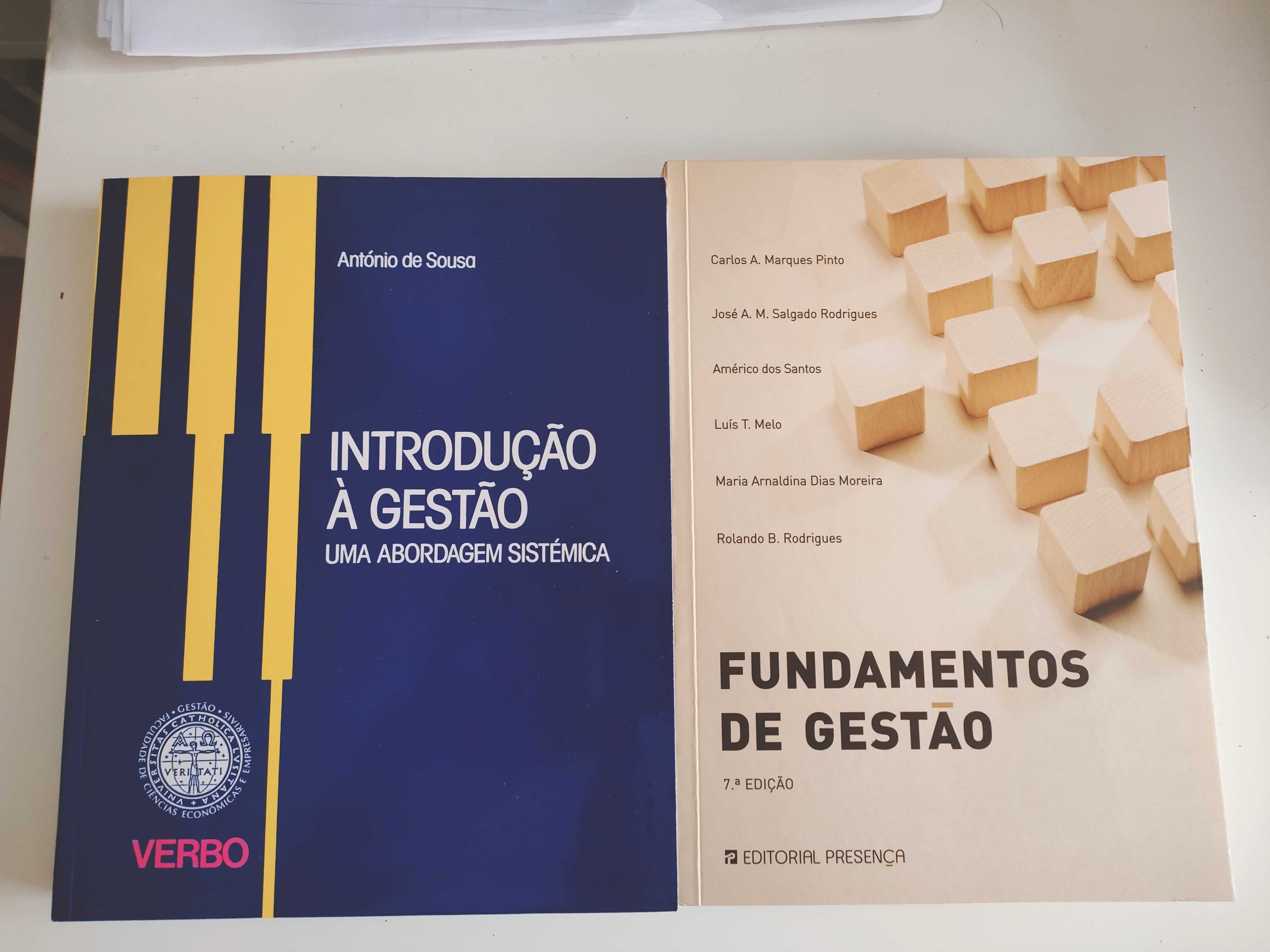 Livros liderança, gestão, finanças e contabilidade