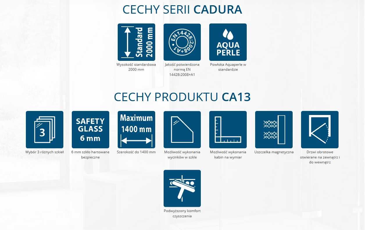 Drzwi prysznicowe Sanswiss Cadura CA13D Black Line