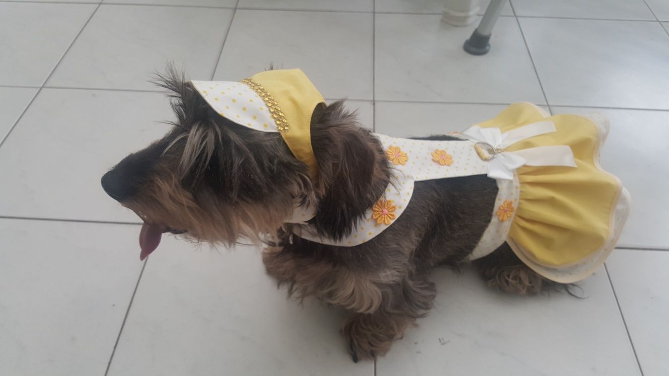 Roupinha para cão médio verão, girissima!