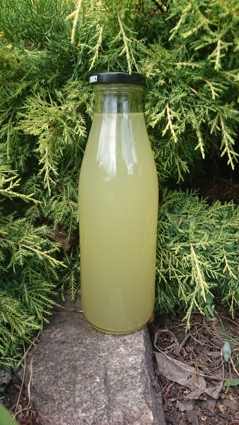 Ocet z kwiatów czarnego bzu 750ml, żywy
