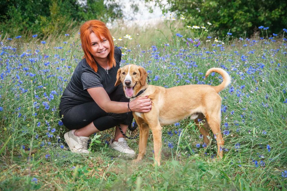 Pluto - piękny i wymagający psiak do pokochania.