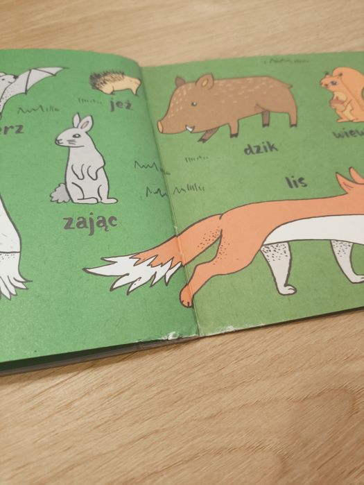 Książki dla dzieci ksiazeczki w lesie rekin żaba logopedyczne