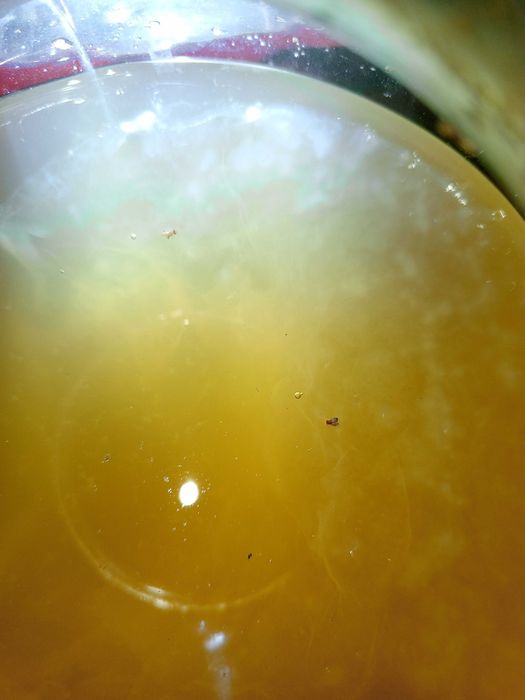 Уксусная матка из яблочного уксуса.