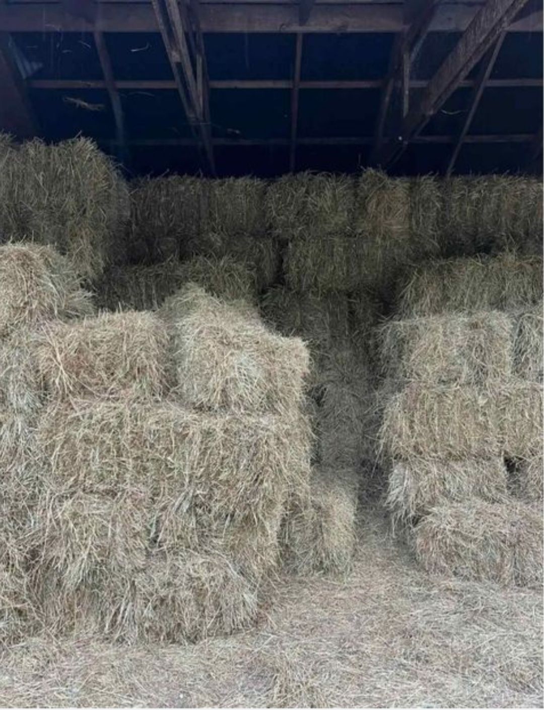 Продам солому ячмінну та сіно лугове