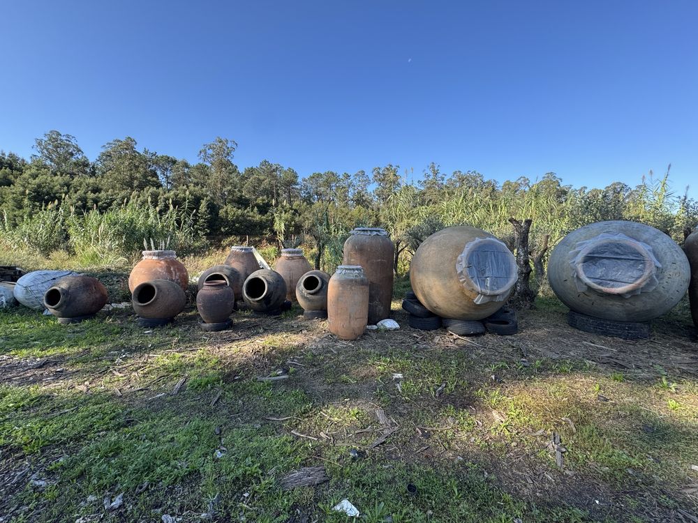 Talhas / Potes Alentejanos Antigos Decoração
