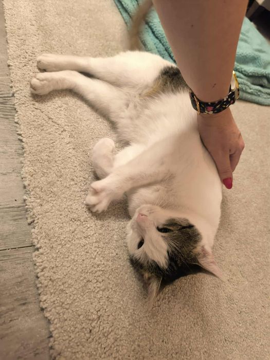 Czy ktoś ją w końcu pokocha?..