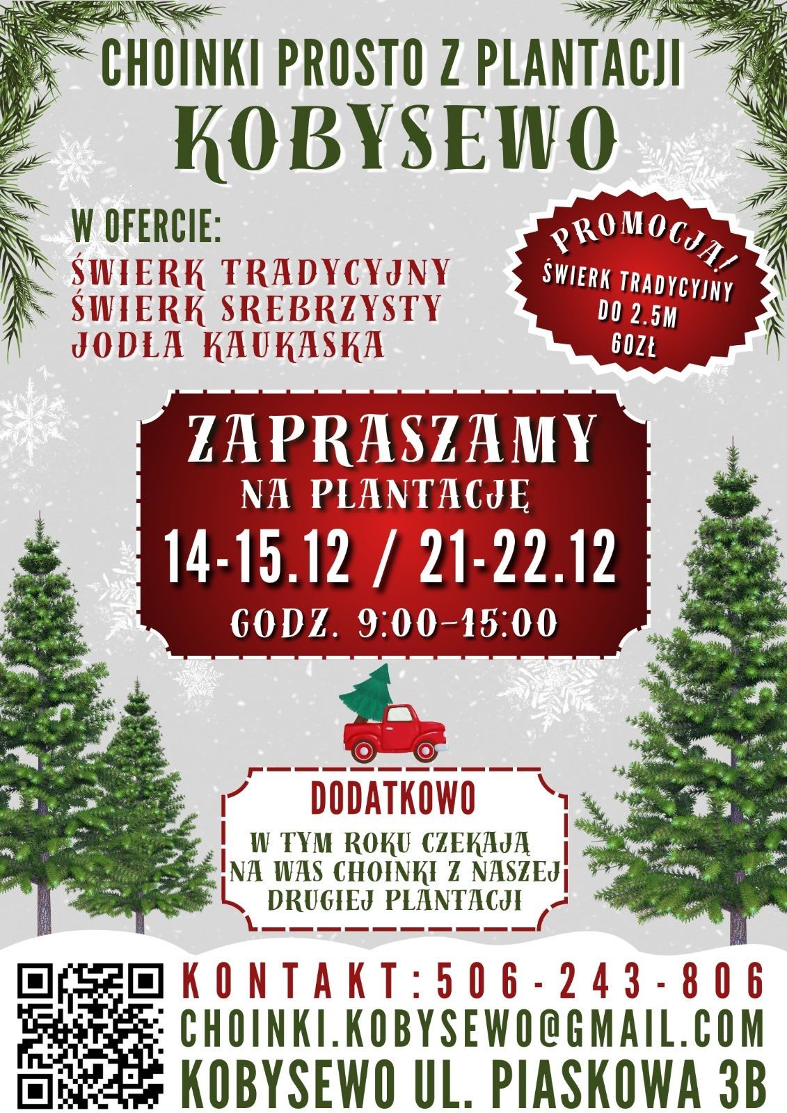Choinka choinki jodła świerk choinkobranie