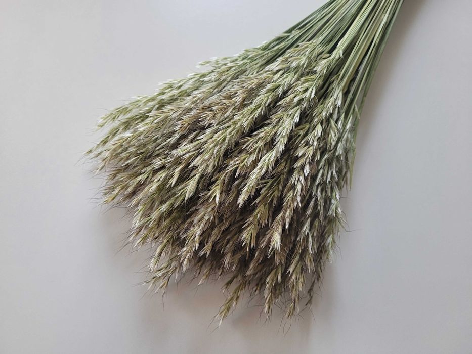 Pęczki suszone bukiety kwiaty / trawy ozdobne / boho