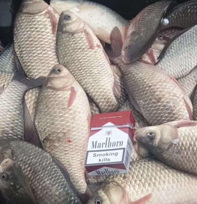 Карась невод/сітка ОПТ з доставкою.