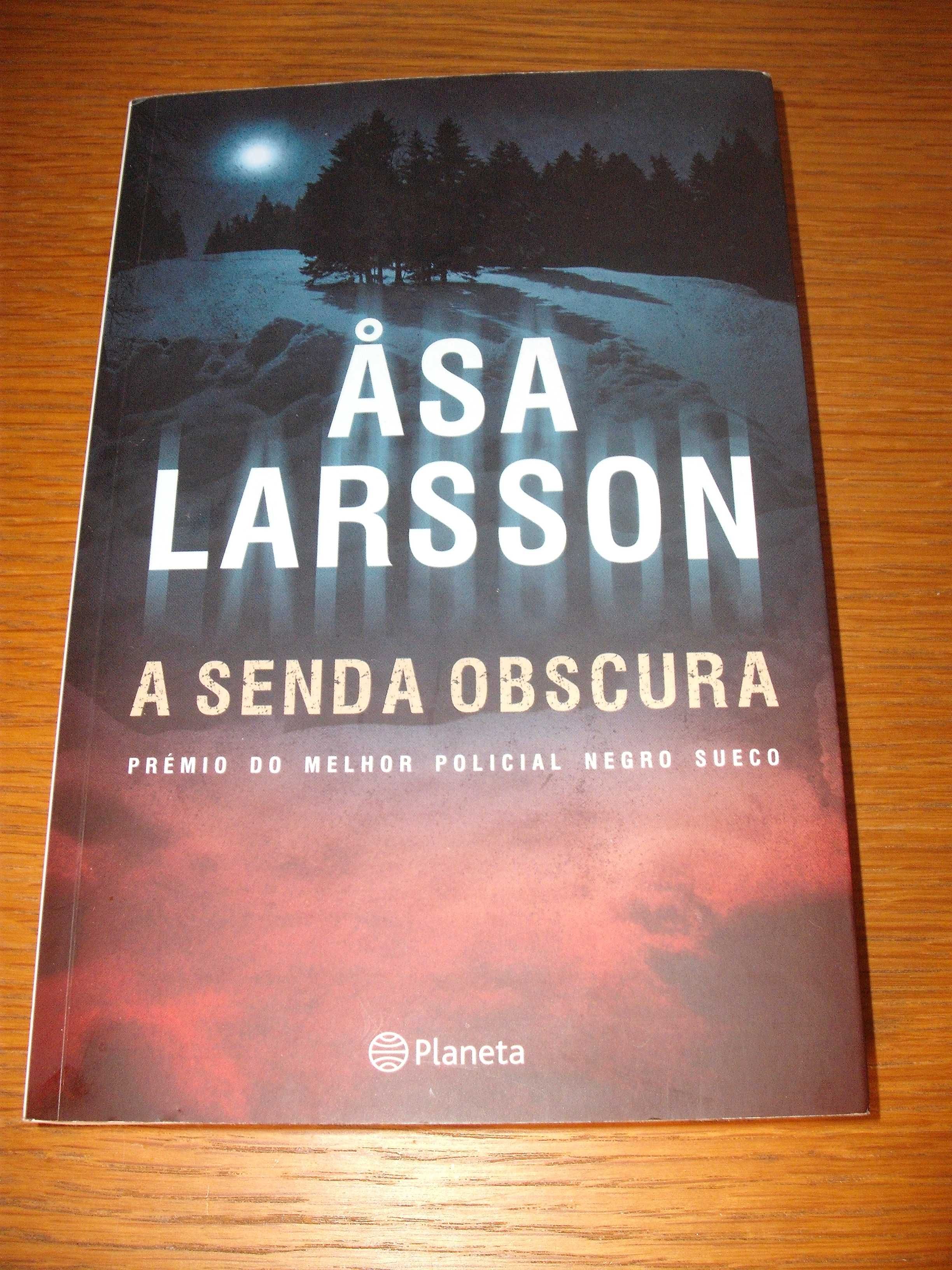 A Senda Obscura de Asa Larsson