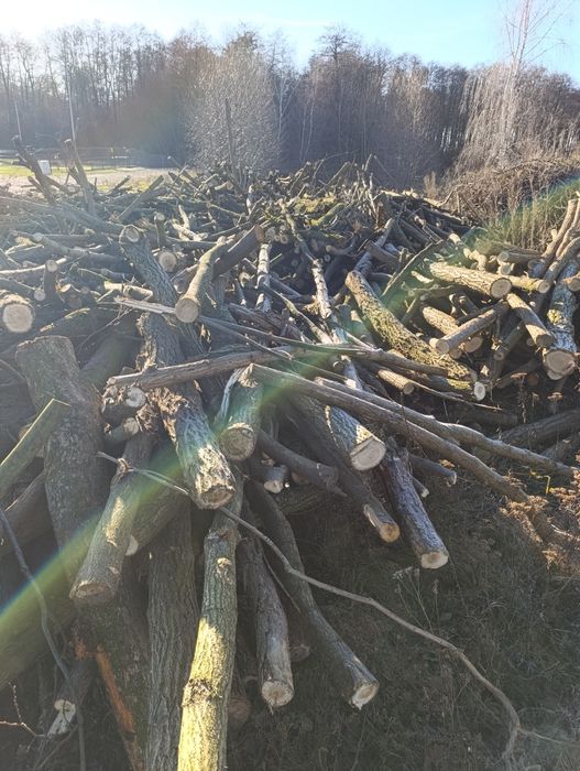 Drewno opalowe kominkowe robinia akacjowa akacja słupki z akacji opał