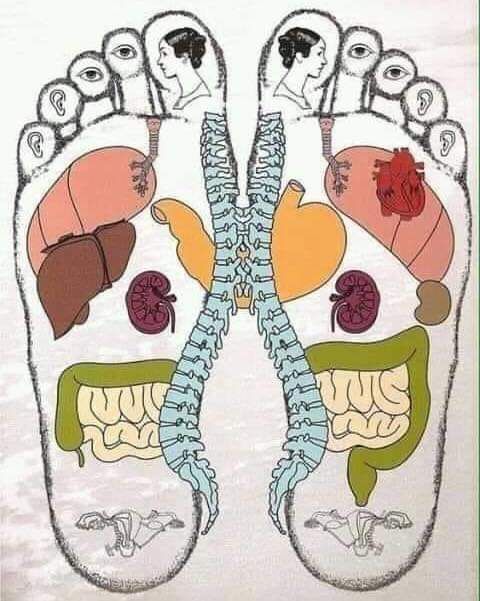 Terapia Psíquica e Mística
