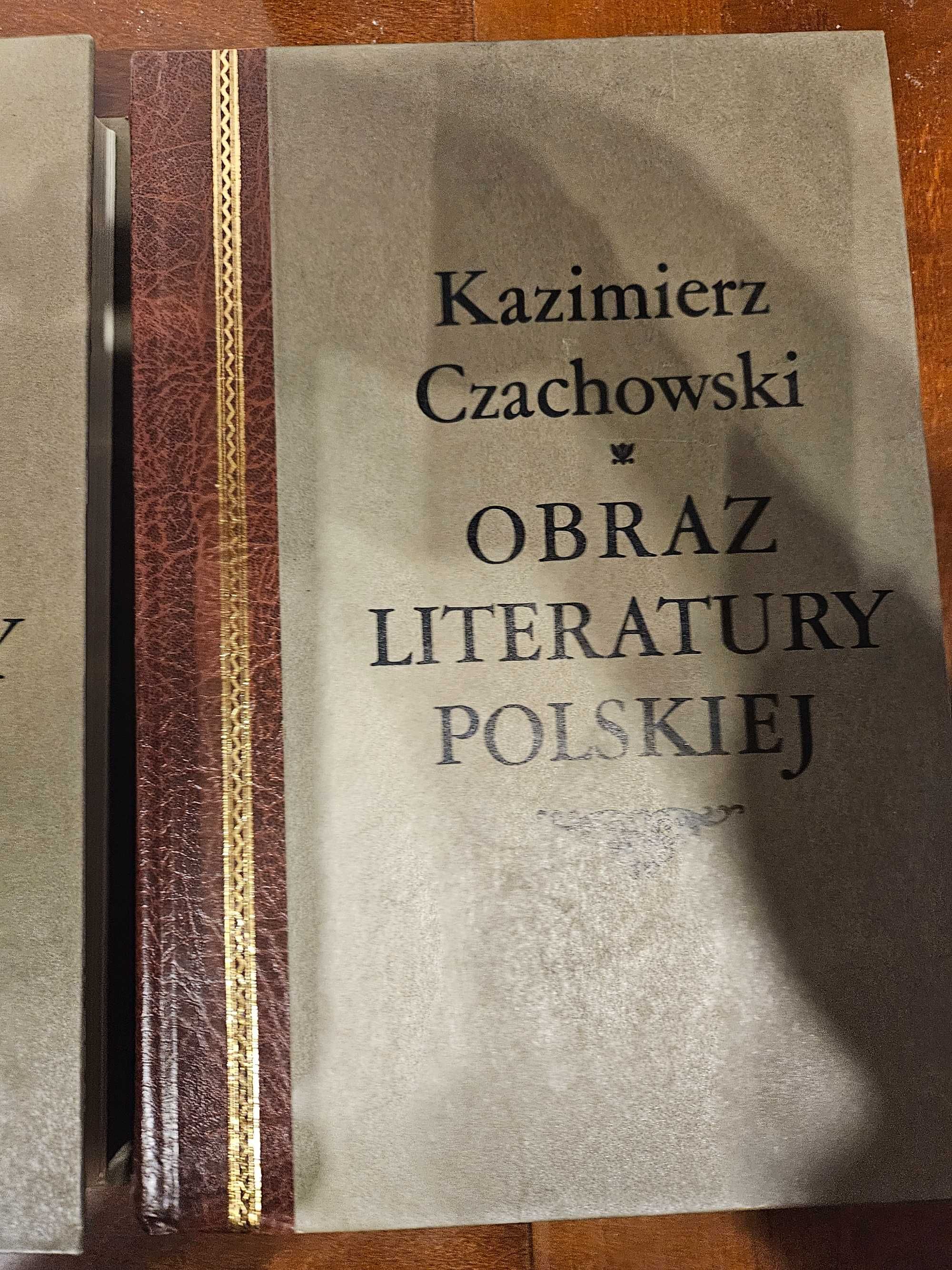 Obraz literatury polskiej Kazimierz Czachowski (jak nowa)