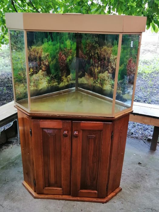 Аквариум угловой 150 литров с тумбой.