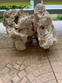 Wapień filipiński kamień akwarium