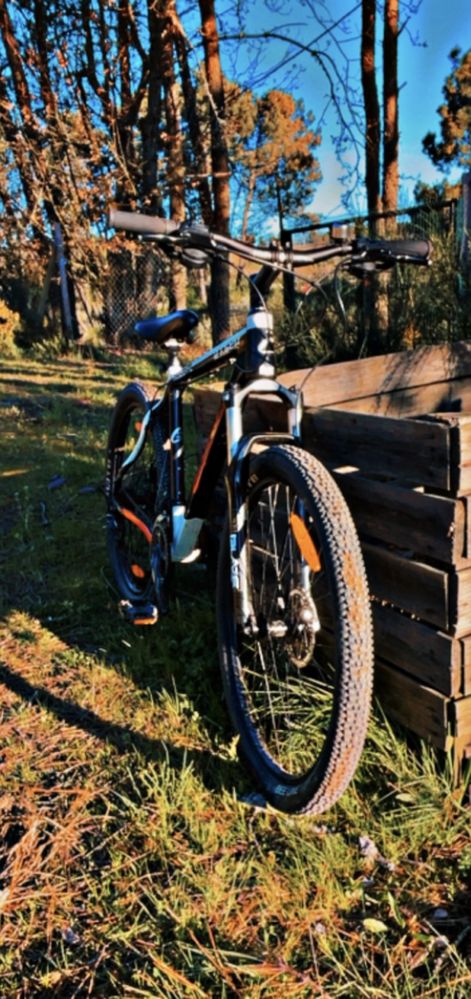 Bike california descente MTB