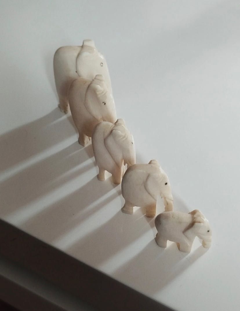 Conjunto decoração caravana de elefantes
