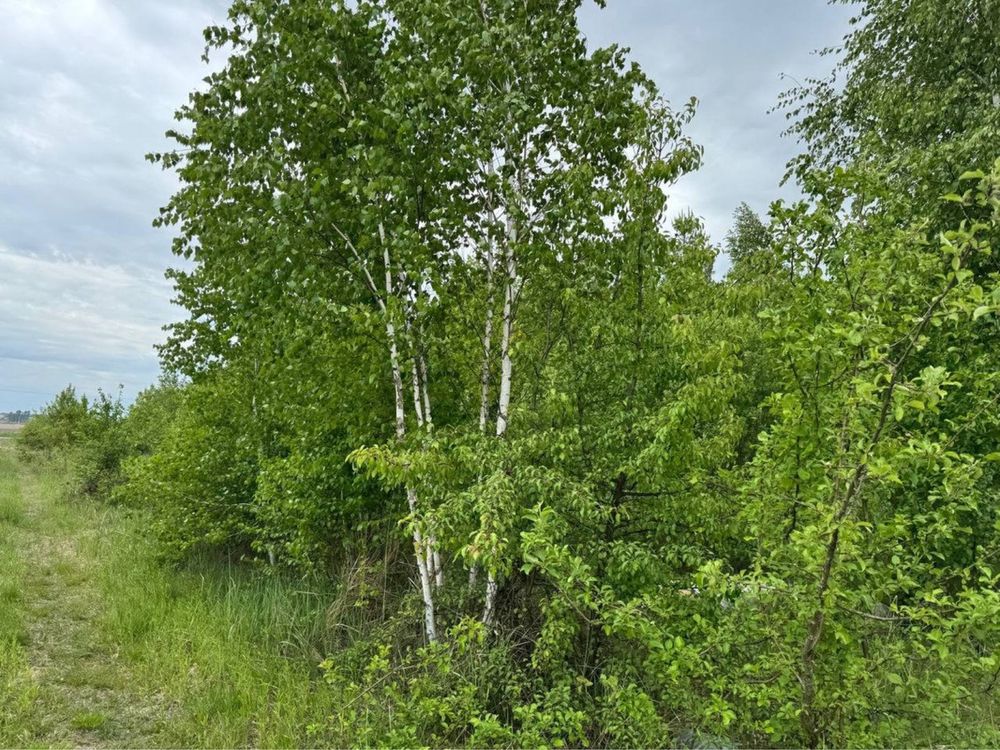 Земельні ділянки в Пилиповичах під Забудову