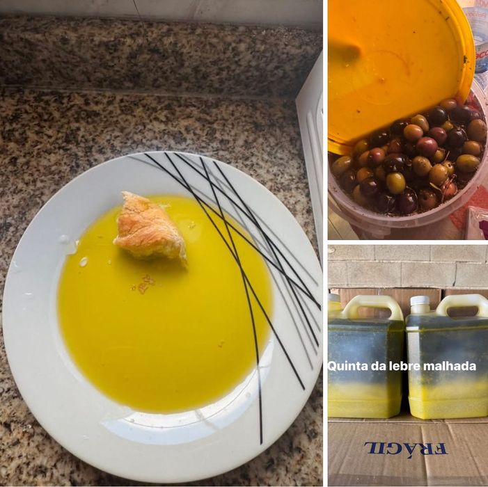 Qualidade e exelencia