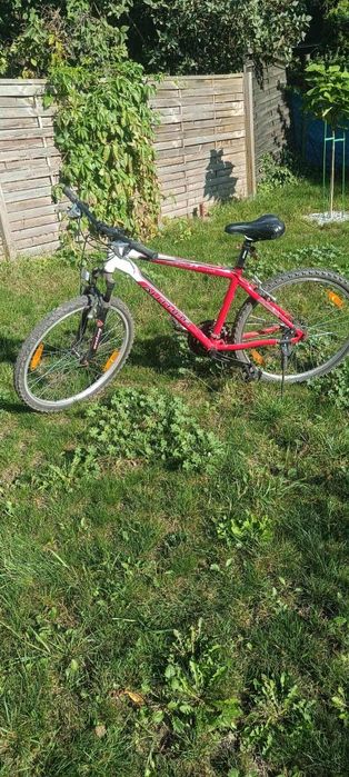 Rower Author używany