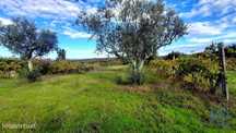 Terreno em Seixo da Beira de 14947,00 m2