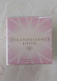 Wyprzedaż! Incandessence Lotus plus gratis