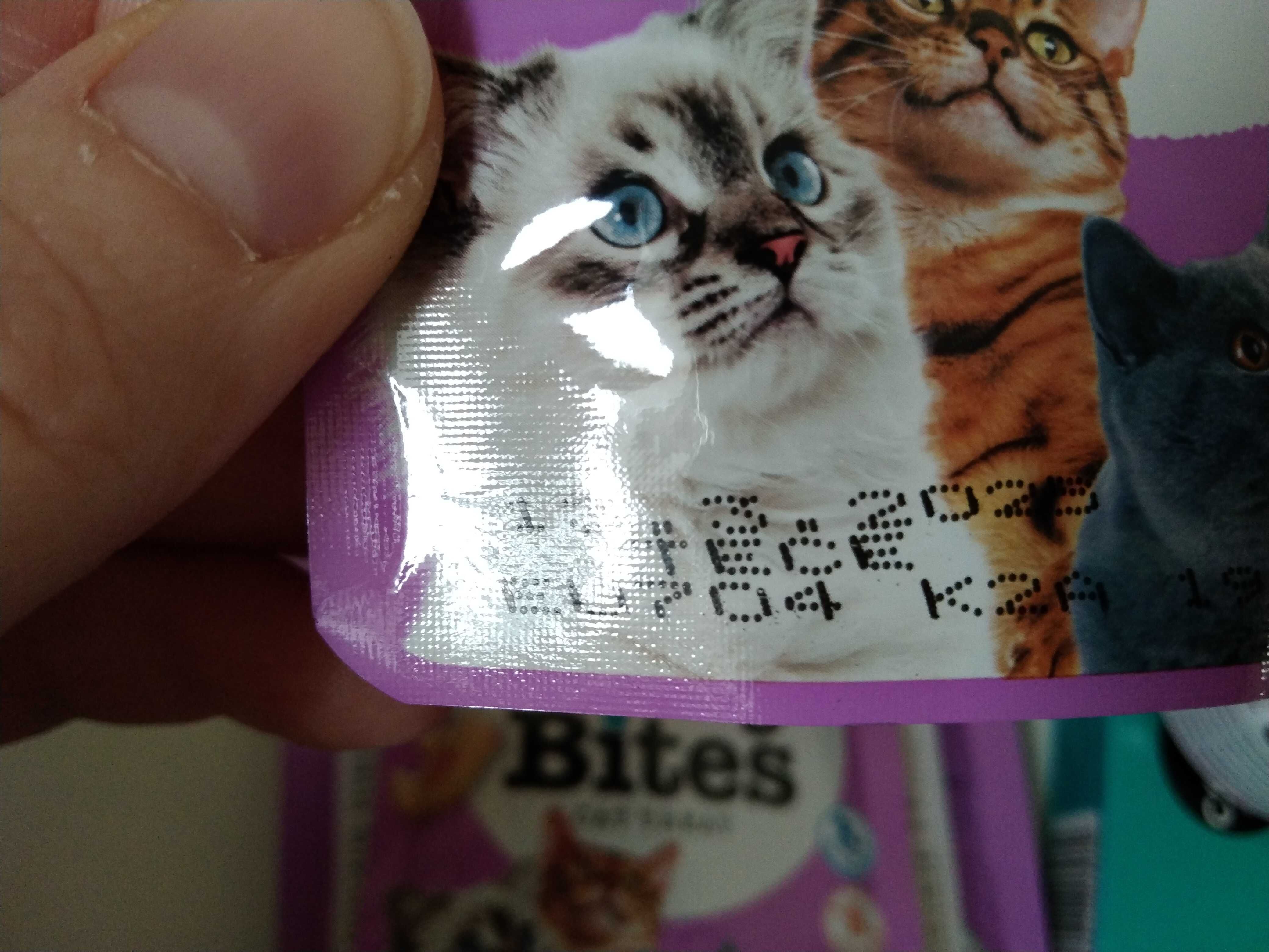 Juicy bites cat terats