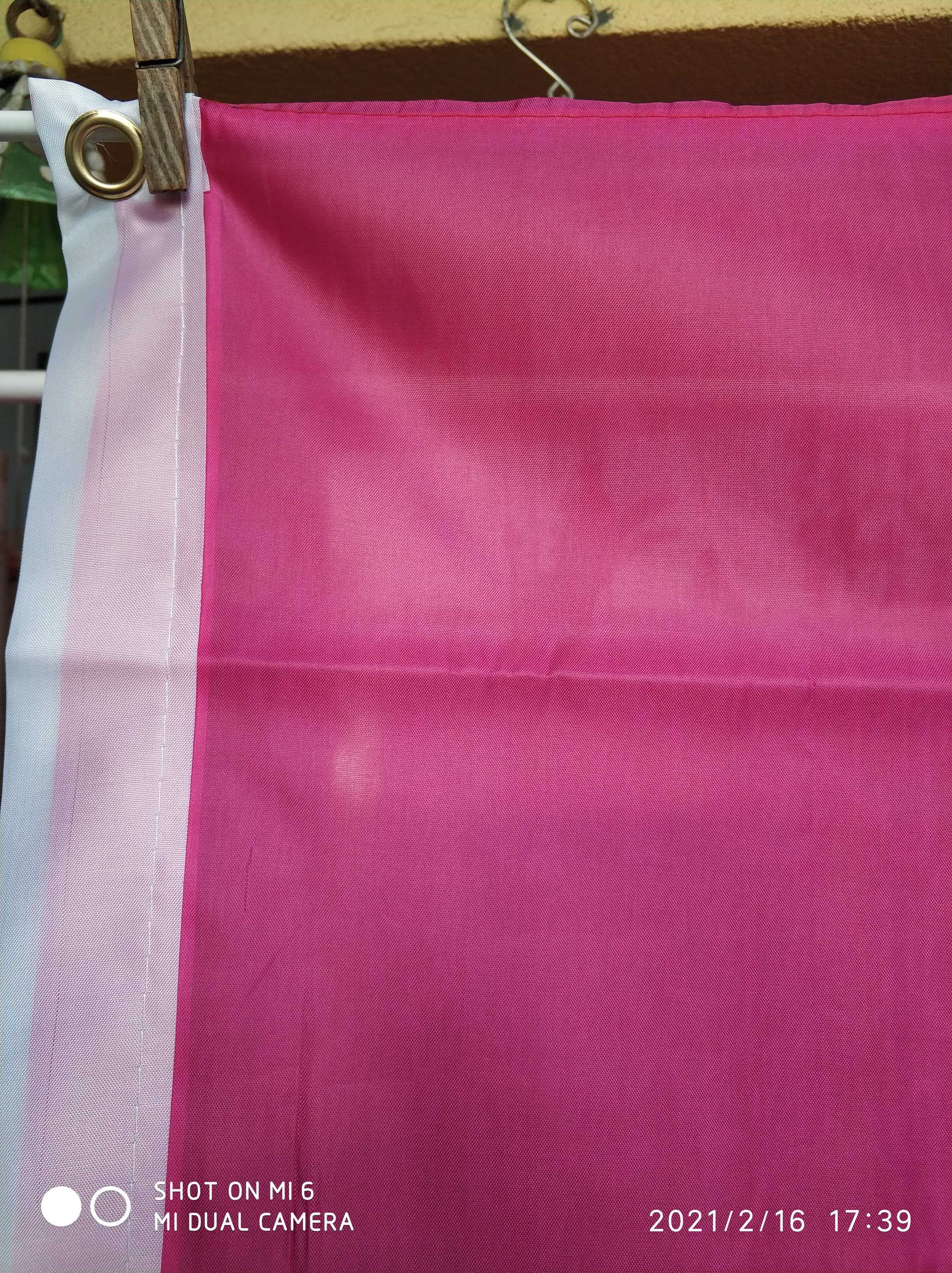 Bandeira Bissexual 150x90cm NOVA