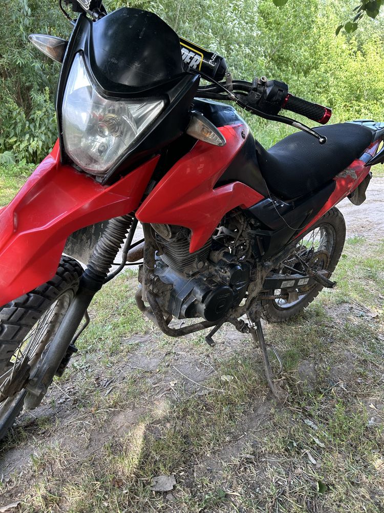 Продам Лонкин прус 200