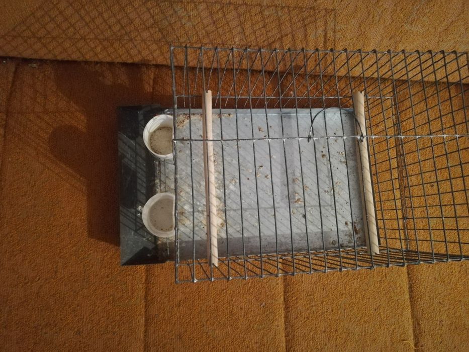 Klatka wystawowa transportowa na kanarka ptaki