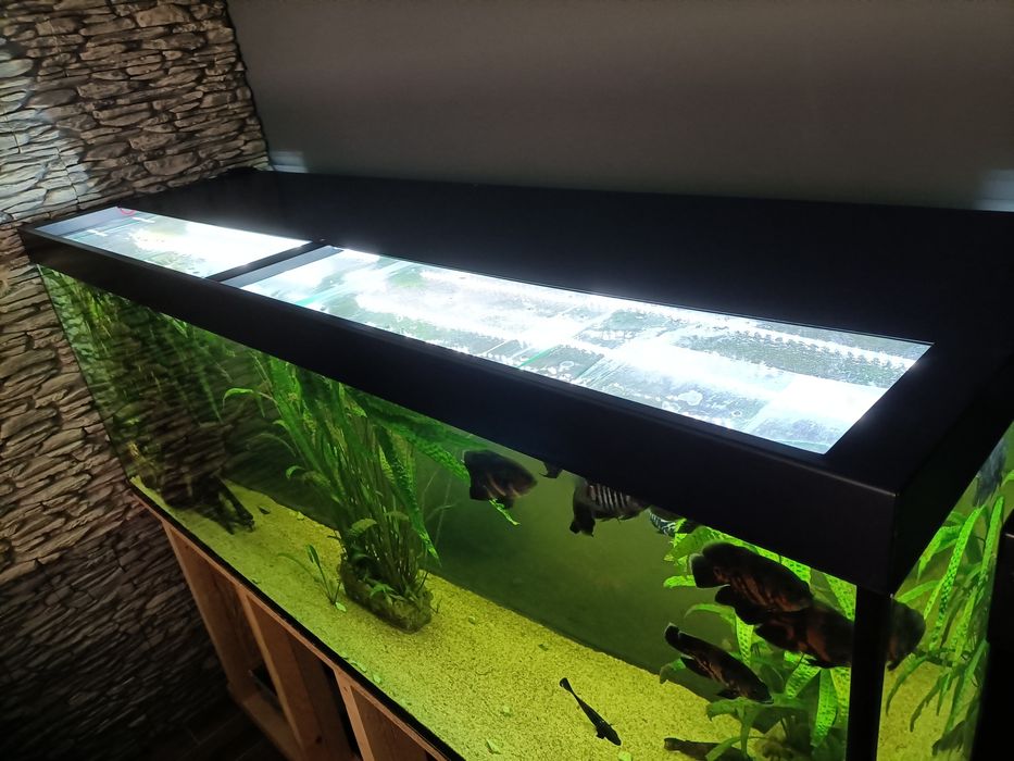 Akwarium 840 L stan bdb full opcja