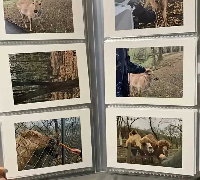 Nowy album przezroczysty 240 zdjec