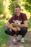 Pembroke welsh corgi Badania, vWD, PRA, fluffy-clear (FB Alona Aleant)