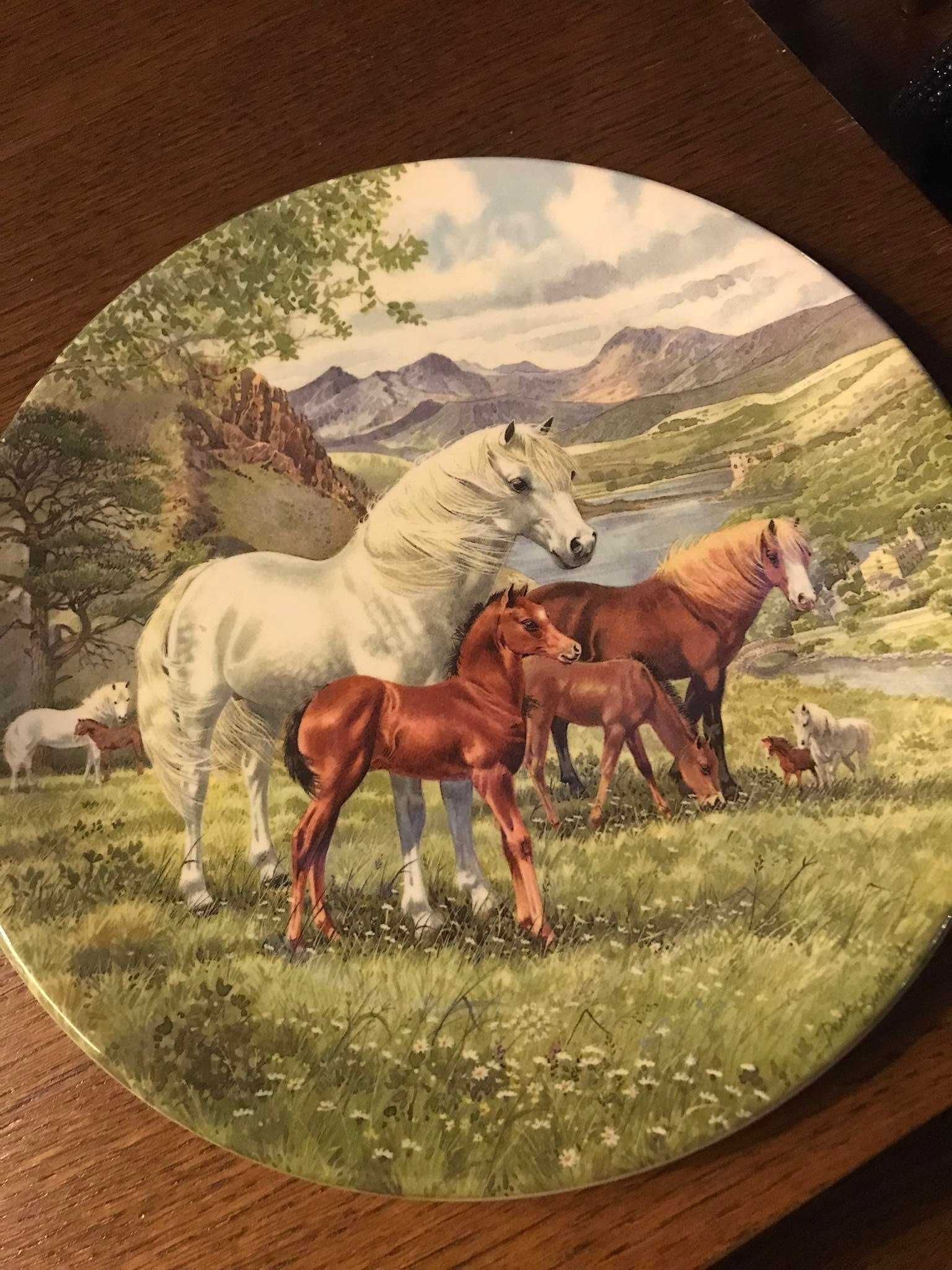 Talerz kolekcjonerski Davenport Welsh Mountain Ponies konie