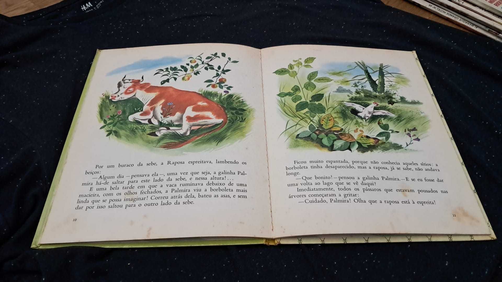 Livro Infantil " A Galinha Branca" - Volume 36