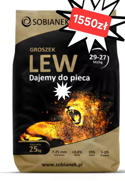 Węgiel Groszek Lew Sobianek