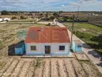 Quinta em Asseiceira com Moradia T2 e Terreno de 9.500 m²