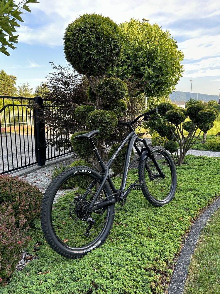 Dartmoor Hornet 2022