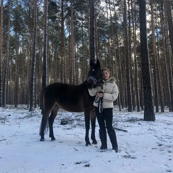 Sprzedam kuca klacz C grupa